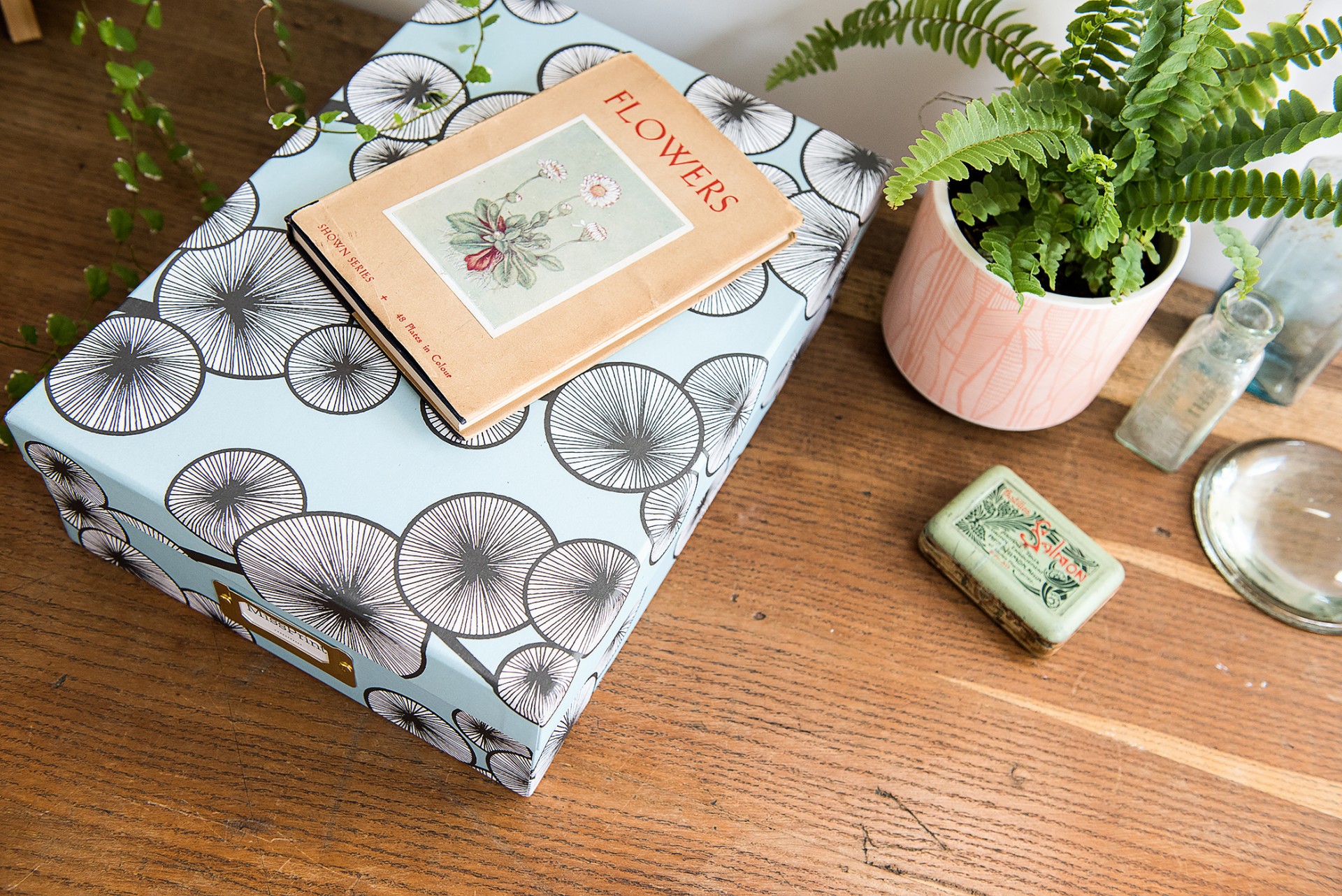 Wildflower: Magazine Rack - Image 4